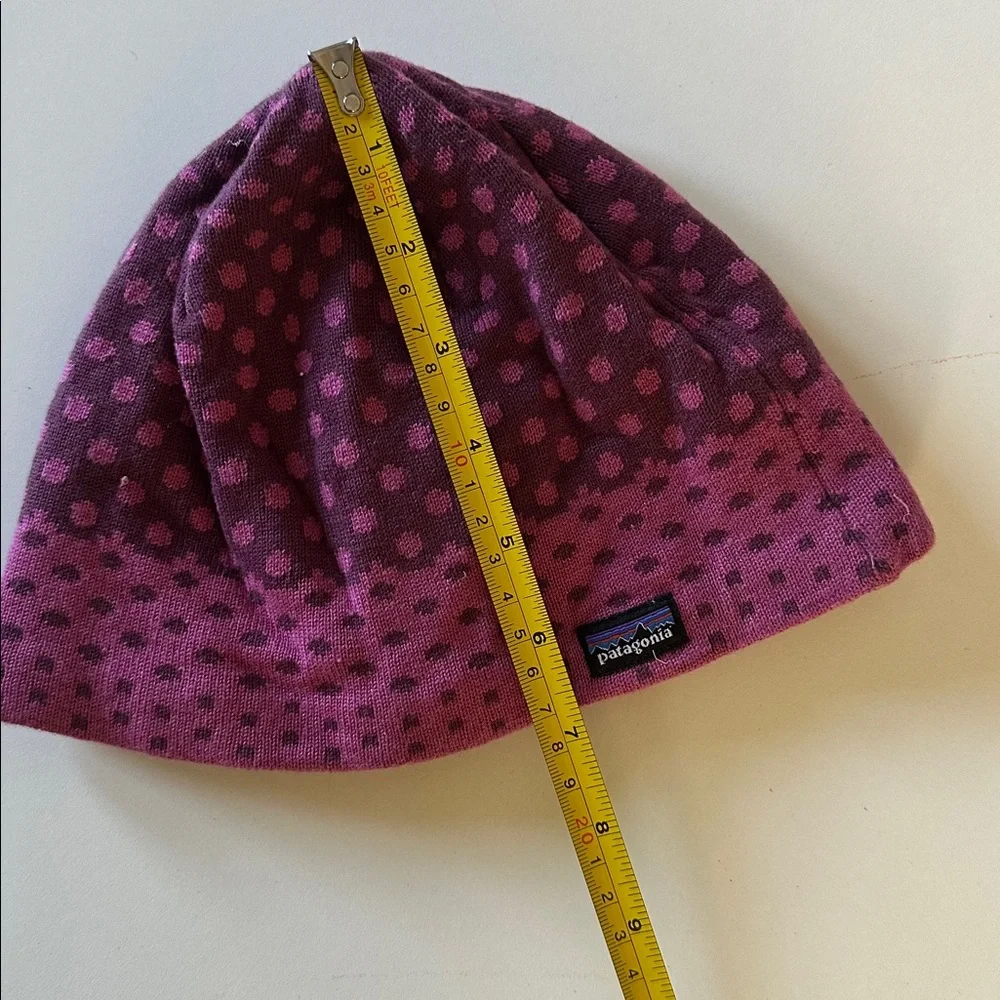 Patagonia Fleece Lined Winter Hat
